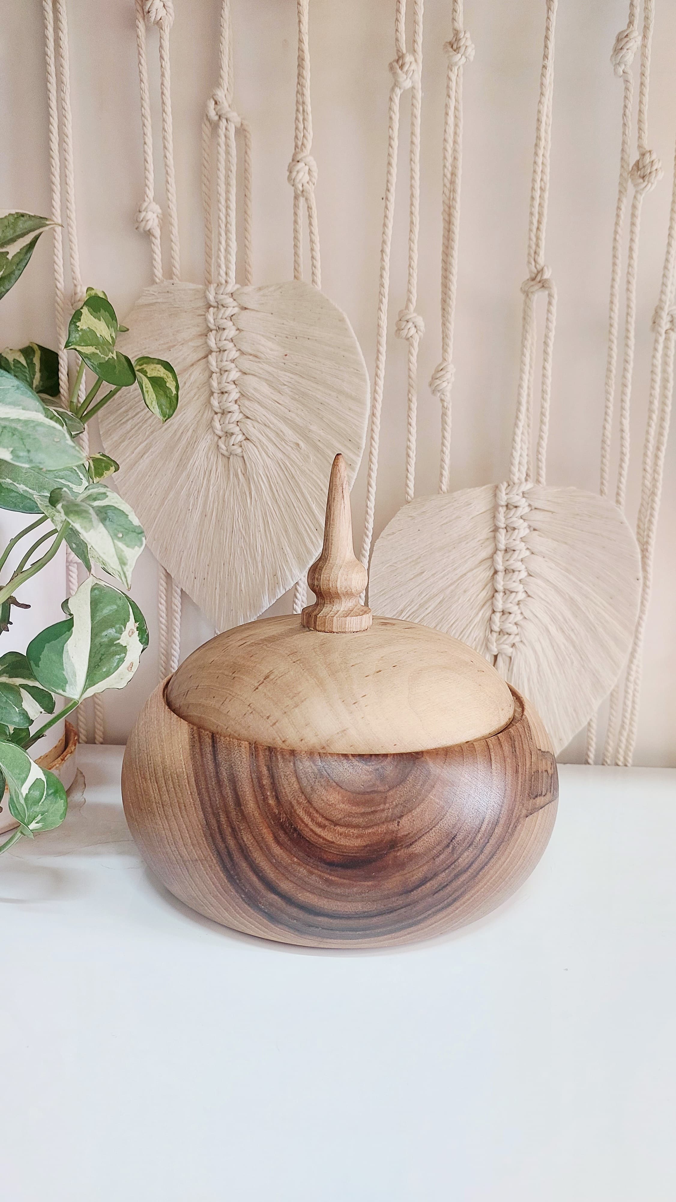 آجیل خوری درب دار چوب گردو با بهترین قیمت | ارسال فوری